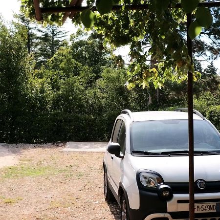 Отель Manjsa Hisa Savudrija Alberi Zraven Petram Naselja Црвени-Врх Экстерьер фото